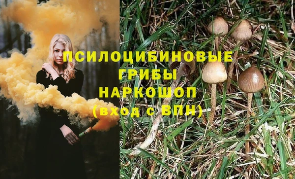 метамфетамин Богданович