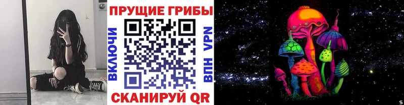 закладка Болотное кракен как войти Галлюциногенные грибы Cubensis